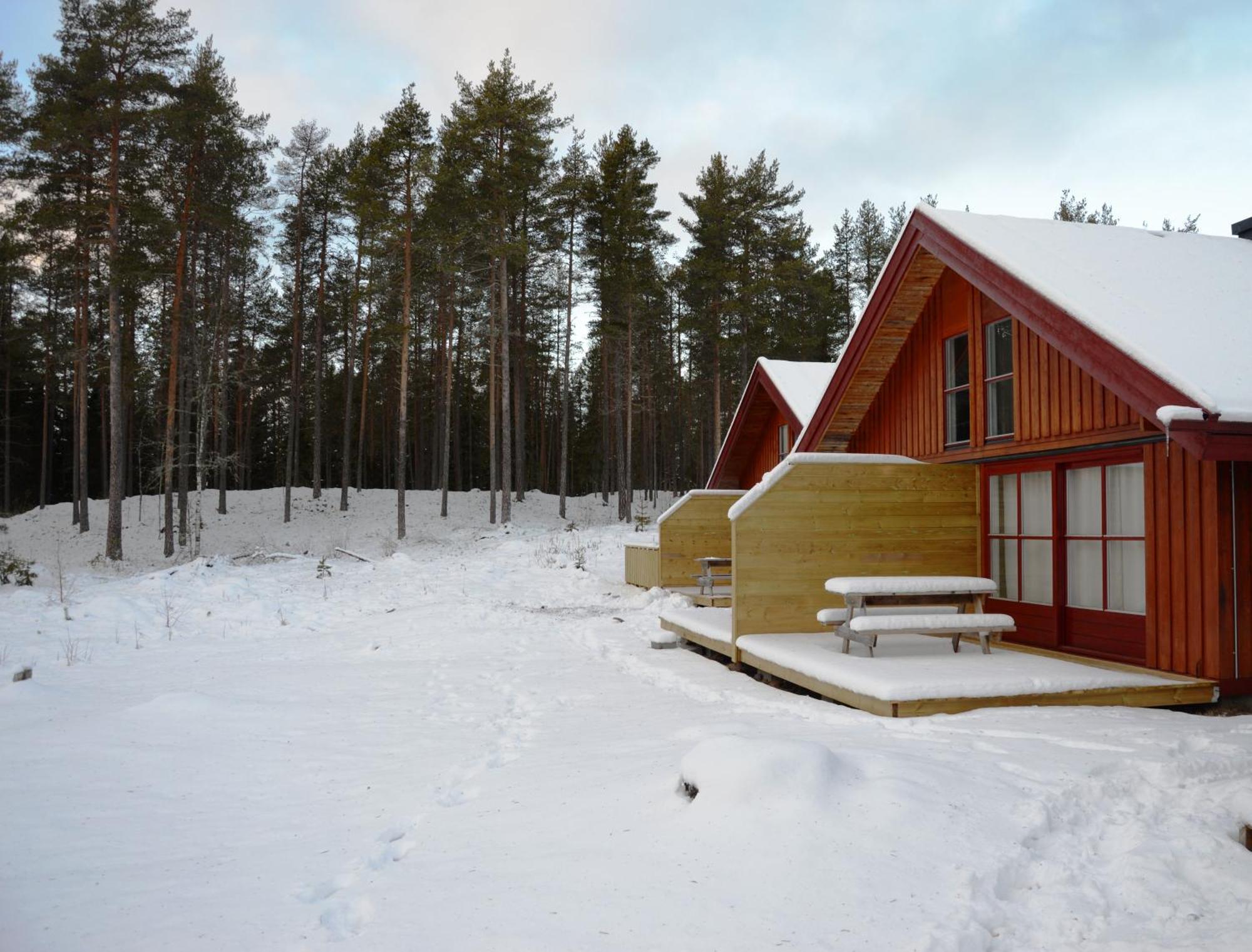 12 - Fulufjellets Nasjonalparker - Natur-, Dyre- Og Fugleopplevelser Ljørdal Exterior foto