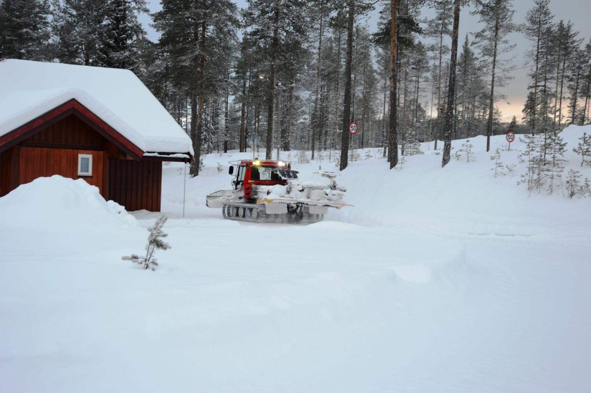 12 - Fulufjellets Nasjonalparker - Natur-, Dyre- Og Fugleopplevelser Ljørdal Exterior foto