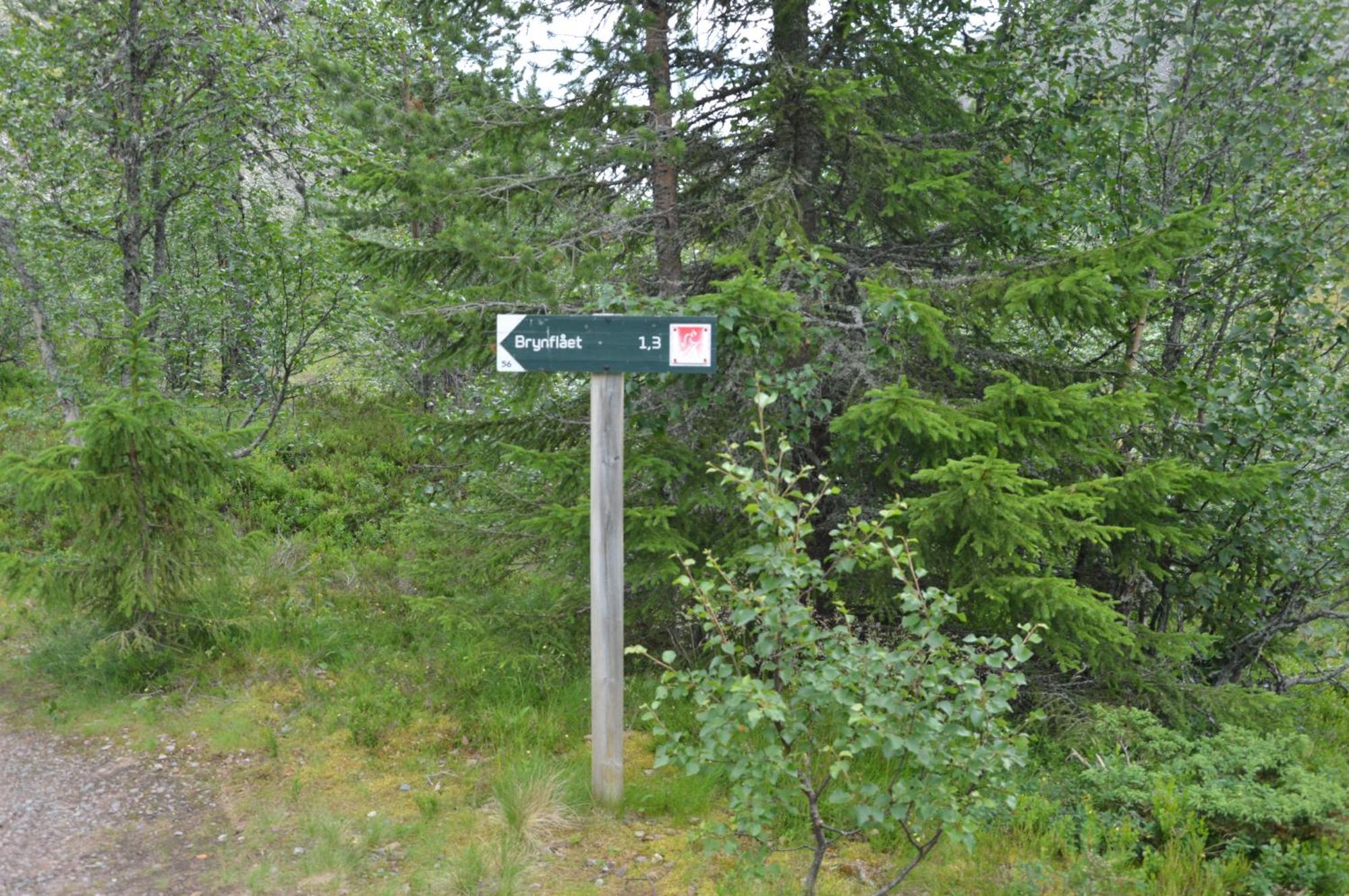 12 - Fulufjellets Nasjonalparker - Natur-, Dyre- Og Fugleopplevelser Ljørdal Exterior foto