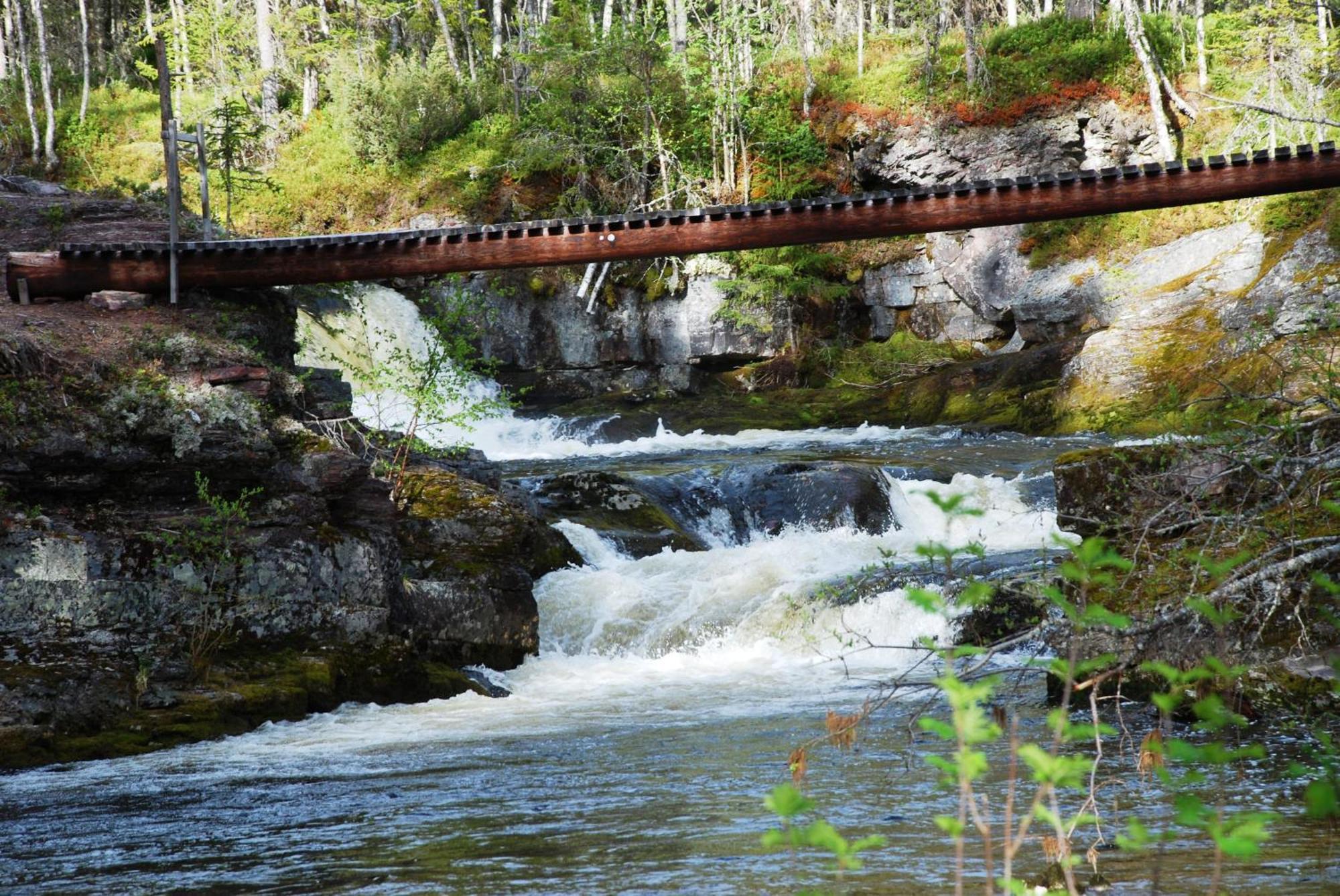 12 - Fulufjellets Nasjonalparker - Natur-, Dyre- Og Fugleopplevelser Ljørdal Exterior foto
