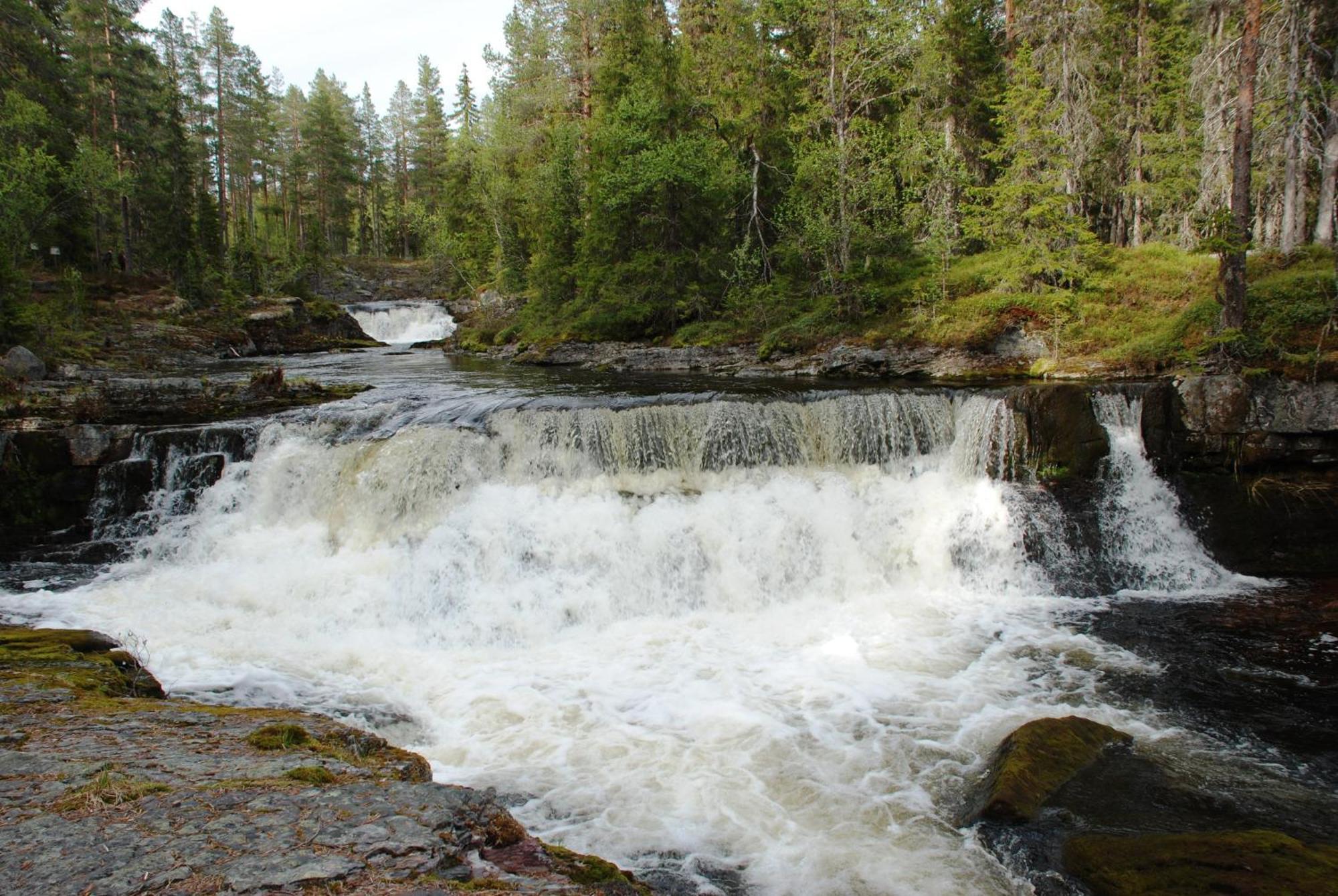 12 - Fulufjellets Nasjonalparker - Natur-, Dyre- Og Fugleopplevelser Ljørdal Exterior foto
