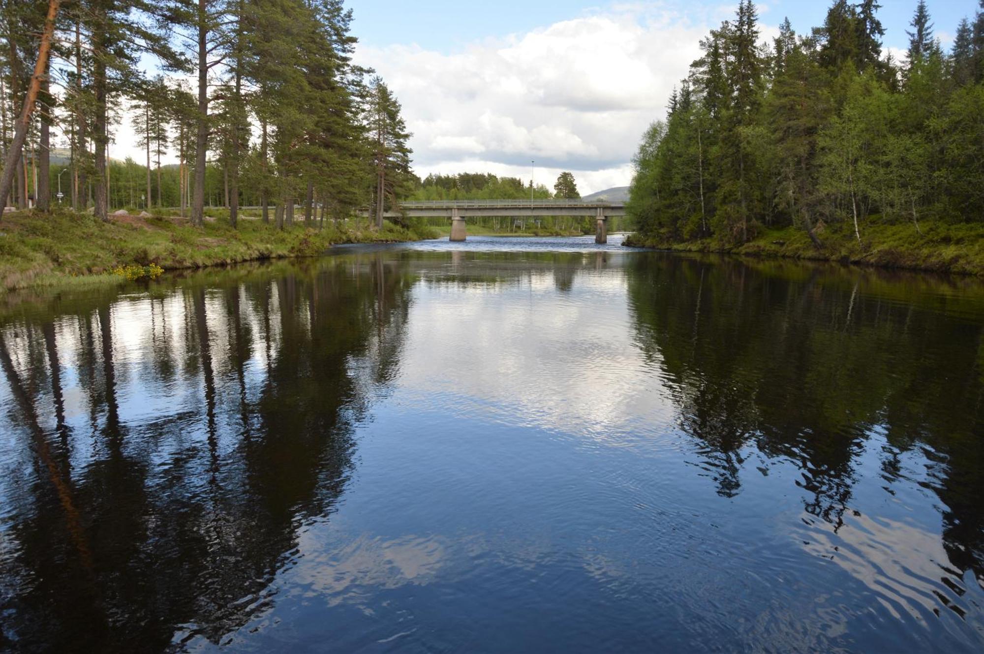 12 - Fulufjellets Nasjonalparker - Natur-, Dyre- Og Fugleopplevelser Ljørdal Exterior foto